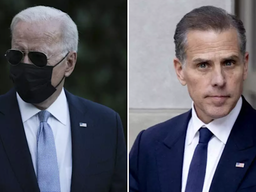 Hunter Biden seen shopping in LA while father Biden grapples with challenges - Times of India
