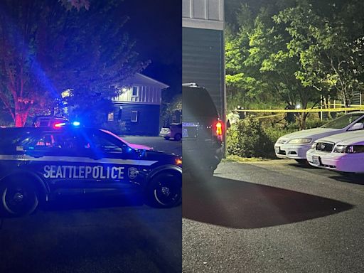 VIDEO: Seattle woman shot twice while child slept next to her in bed, police say