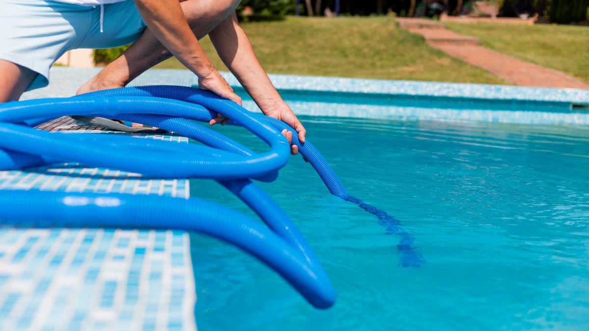 How to protect your swimming pool from the cicada emergence