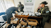 Descubrieron 44 kilos de marihuana oculta en una encomienda que arribó a Bariloche - Diario Río Negro