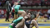 OHSAA Division I State Wrestling: Champions go down, more could soon if area has its way