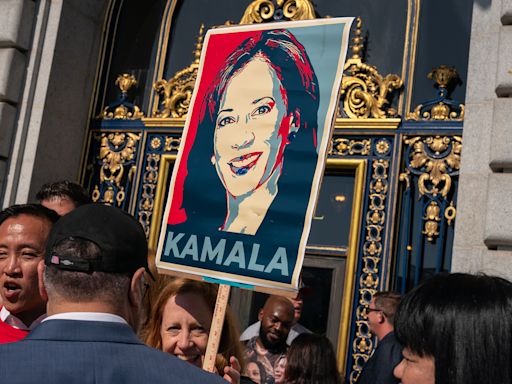 How Dems Plan to Crush the ‘Bullshit’ Legal Effort to Block Harris From the Ballot