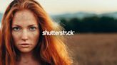 Shutterstock宣布向企業客戶提供人工智慧影像創作賠償保障