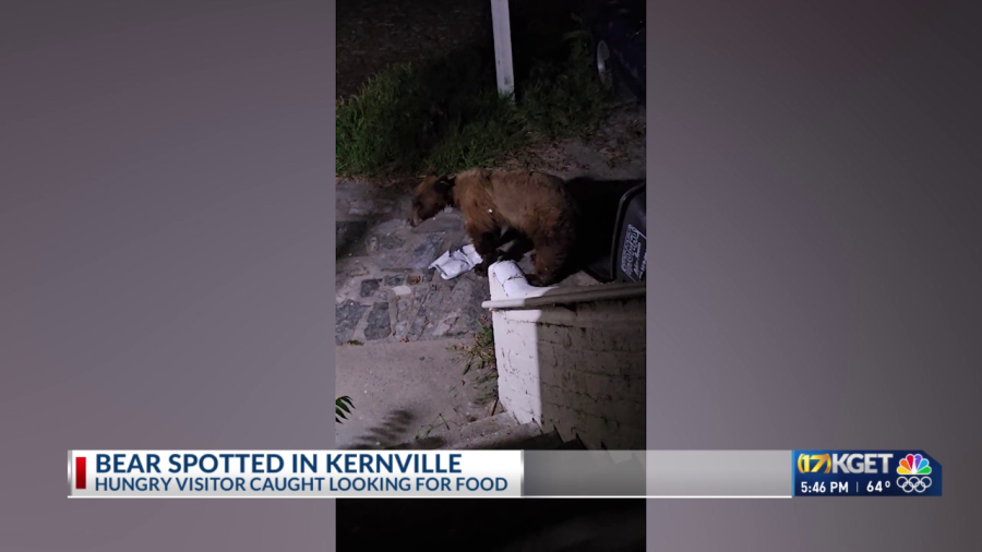 Bear seen going through trash in Kernville neighborhood