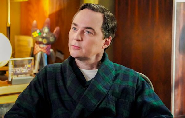 Big Bang Theory Fans On Reddit Want This Prequel After Young Sheldon - Looper