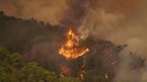 España: Incendio incontrolable en Tenerife afecta a unas 7.600 personas