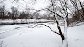 Winter forecasts: Woolly worms, leaves, persimmon seeds or satellite, radar, ocean temps