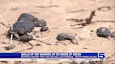 Tar balls continuing washing up at South Padre Island