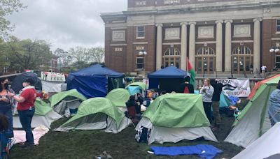 Community reacts to University of Illinois pro-Palestinian protests