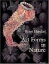 Art Forms in Nature