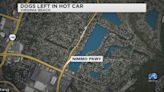 Dog dies after being left in hot car in Virginia Beach, owner charged