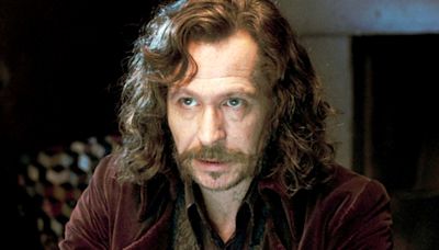 Gary Oldman Open to Joining Harry Potter Series But Not as Sirius Black