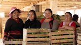 Sin intermediarios y con ofertas en TikTok: el mercado de la nueva generación de agricultores