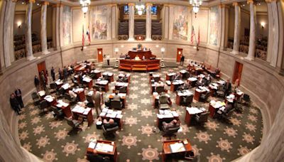 Primaries will test incumbents in year of historic turnover for Missouri Senate