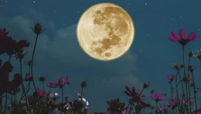 Luna Llena de mayo 2024: ¿cuándo es y a qué hora ver la Luna Flores desde México?