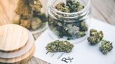 Medical Marijuana Patients Report Lasting Quality Of Life Benefits