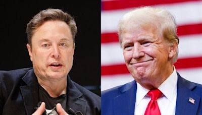 Elon Musk soll wöchentliche Treffen mit Beratern gehabt haben, um Wähler in umkämpften Staaten dazu zu bringen, Trump zu wählen