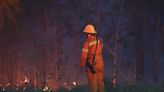 Palm City brush fire spreads over 300 acres, though now mostly underground