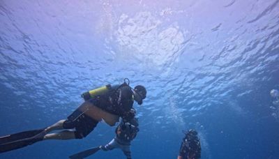 保育珊瑚墾丁海下大掃除 113名潛水員清30公斤垃圾