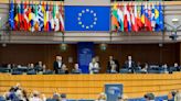 EU Parliament waives immunity of German lawmaker in shop theft case