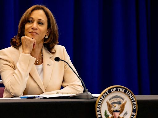 Kamala Harris Allies Make Power Moves to Lock Out Rivals