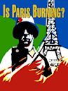 Is Paris Burning? (film)