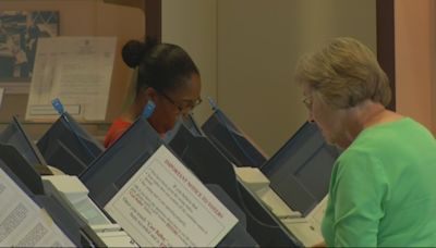 Richmond County Democrats urge getting out to vote, no to mayor vote