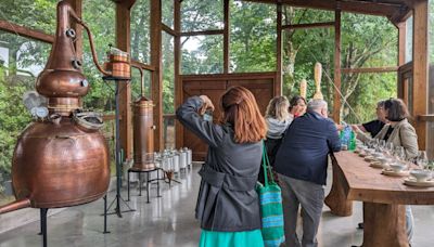 Los secretos de la alquimia a través de uno de los pocos destiladores artesanales: "Es la mezcla de botánicos, destilación y artesanía"