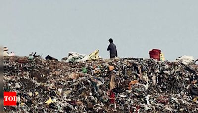 MCD Powers Up Battle Against Waste - Delhi Waste-to-Energy Plants Expansion | Delhi News - Times of India