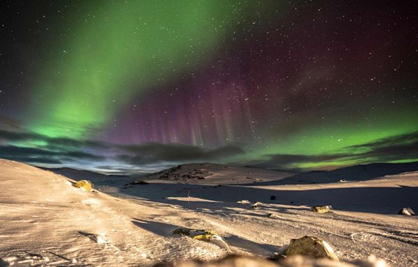 Northern Lights Alert: Here’s Where You Could See The Aurora Borealis Tonight