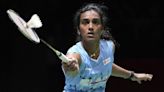 Paris Olympics 2024: LeBron James to PV Sindhu - Who are respective flagbearers of their respective nations at the Games