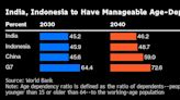 India, Indonesia Standout for EM Investors in Aging World