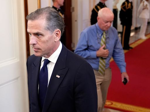 Hunter Biden drops bid for new trial in federal gun case