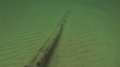 Ship that sank during ‘incredible storm' in 1842 discovered in Lake Michigan