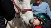 How a Moore County horse farm tour will benefit veterans and people with disabilities