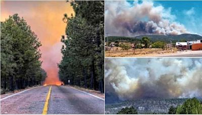 Voraz incendio en Rocheachi bloquea carretera