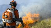 Marina, Tebet e Goés embarcaram para o Pantanal nesta sexta (28) para acompanhar combate aos incêndios