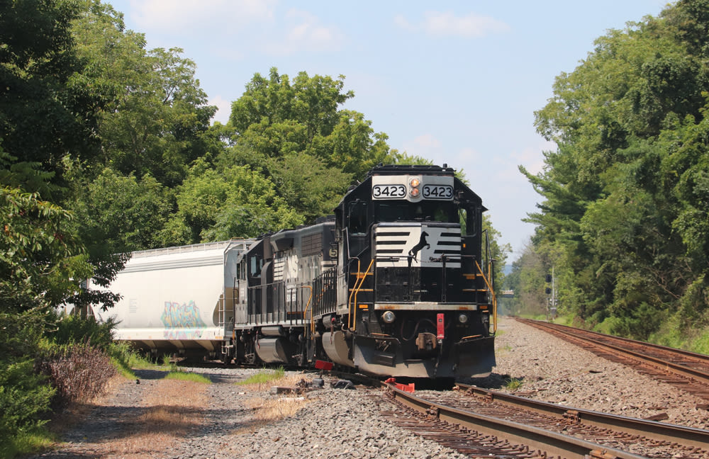 Norfolk Southern short line project leads to carload volume growth - Trains