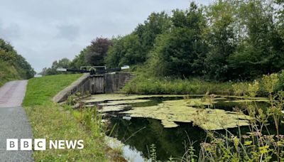 Walsall canal cyanide spill: What you need to know