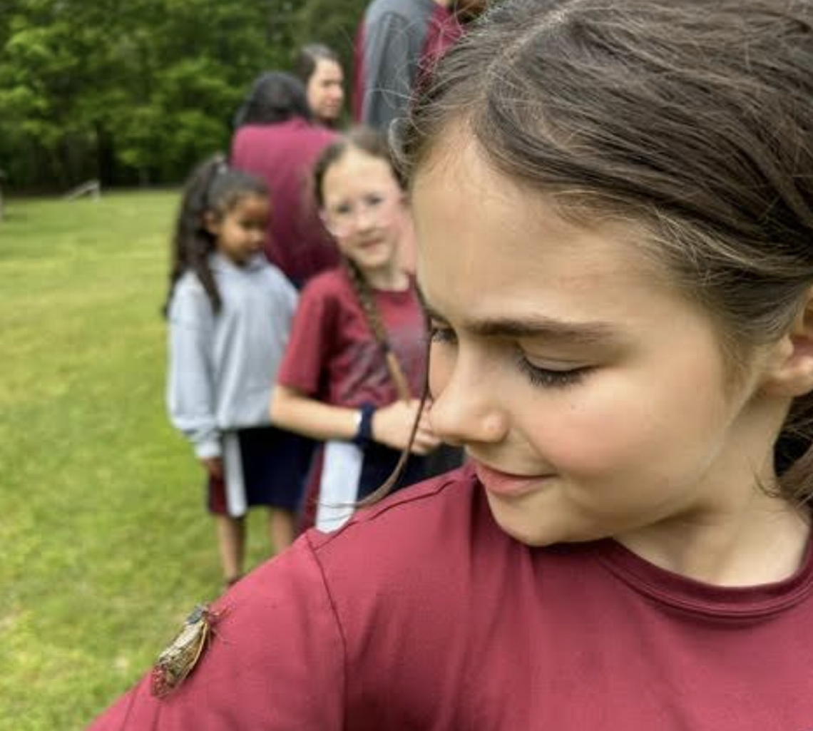 Say what you will about the invasion of cicadas, but SC children appear to love them. Take a look
