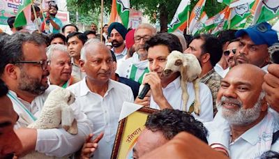 Haryana Diary: Health Minister’s ‘official’ visit to Rajasthan
