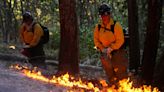 After Yarnell, experts look to Indigenous practices to slow wildfire growth