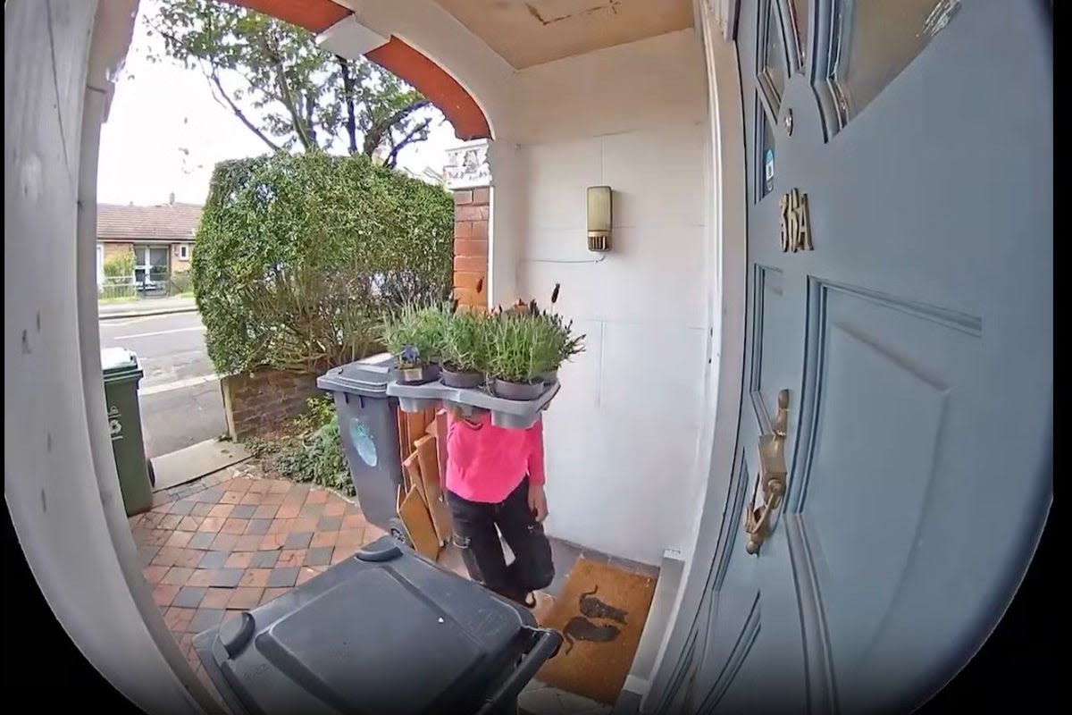 Woman hides face behind lavender plants as Amazon package stolen from pensioner’s doorstep