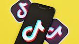 TikTok, ByteDance sue US govt to undo divest-or-die law