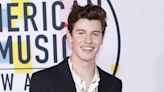 Shawn Mendes cancela el resto de su gira mundial por sus problemas de salud mental