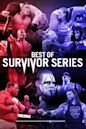 The Best of WWE: Best of Survivor Series