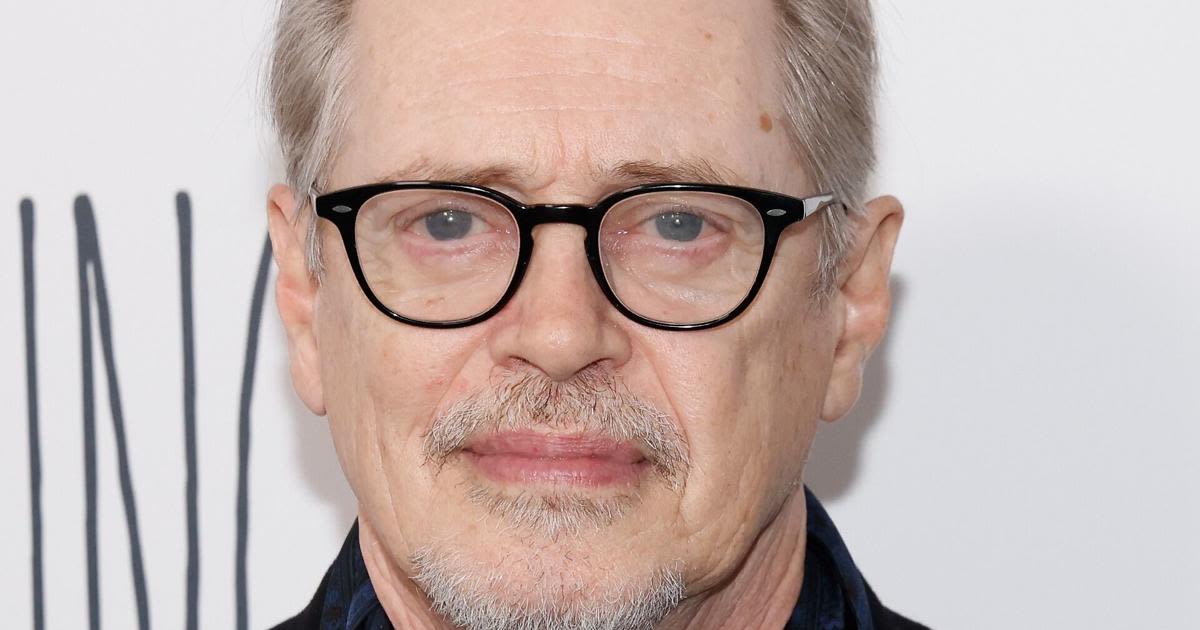 Steve Buscemi's NYC Attack, Explained