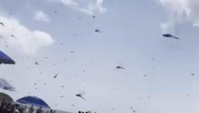 Watch: Massive dragonfly swarms descend on Rhode Island beach