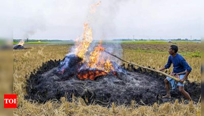 Rs 500 crore action plan to tackle stubble burning in Punjab | Chandigarh News - Times of India