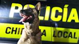 La policía de Chipiona se despide de su perra Shena por su jubilación: "Siempre será tu casa"